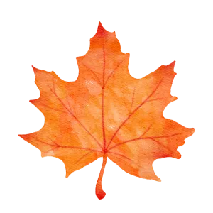 Watercolor painting of a vibrant orange maple leaf. Fall foliage art print. Autumn leaves in Seattle, WA. Seasonal decor for Thanksgiving.