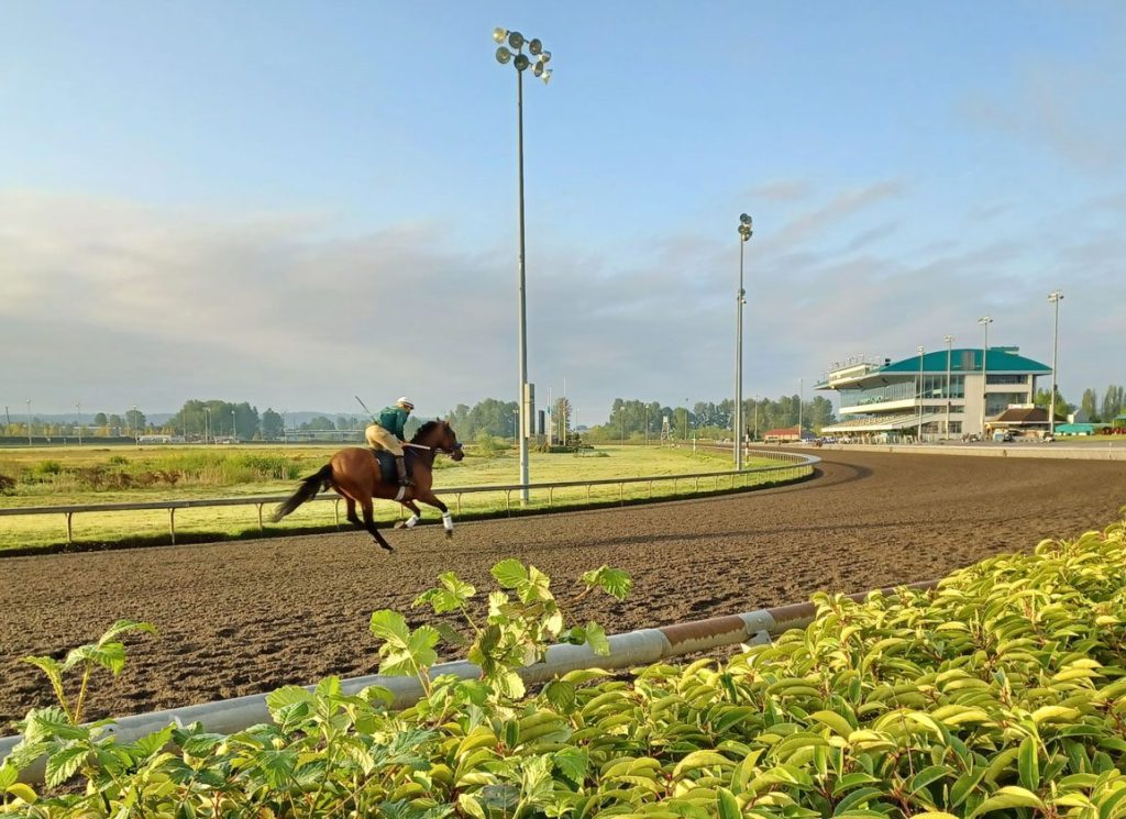 Auburn location: Horse and jockey galloping on the racetrack, capturing the speed and power of equestrian sports in scenic Washington State.